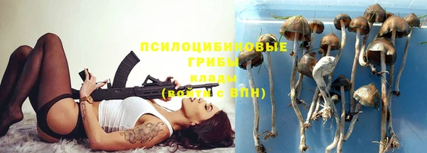 спайс Алексин