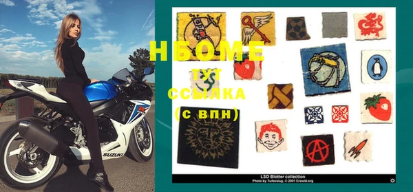 ГАЛЛЮЦИНОГЕННЫЕ ГРИБЫ Алзамай