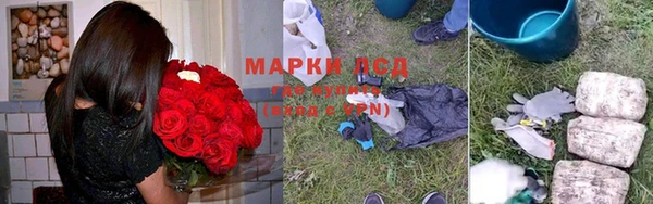 ГАЛЛЮЦИНОГЕННЫЕ ГРИБЫ Алзамай