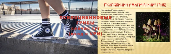 ГАЛЛЮЦИНОГЕННЫЕ ГРИБЫ Алзамай